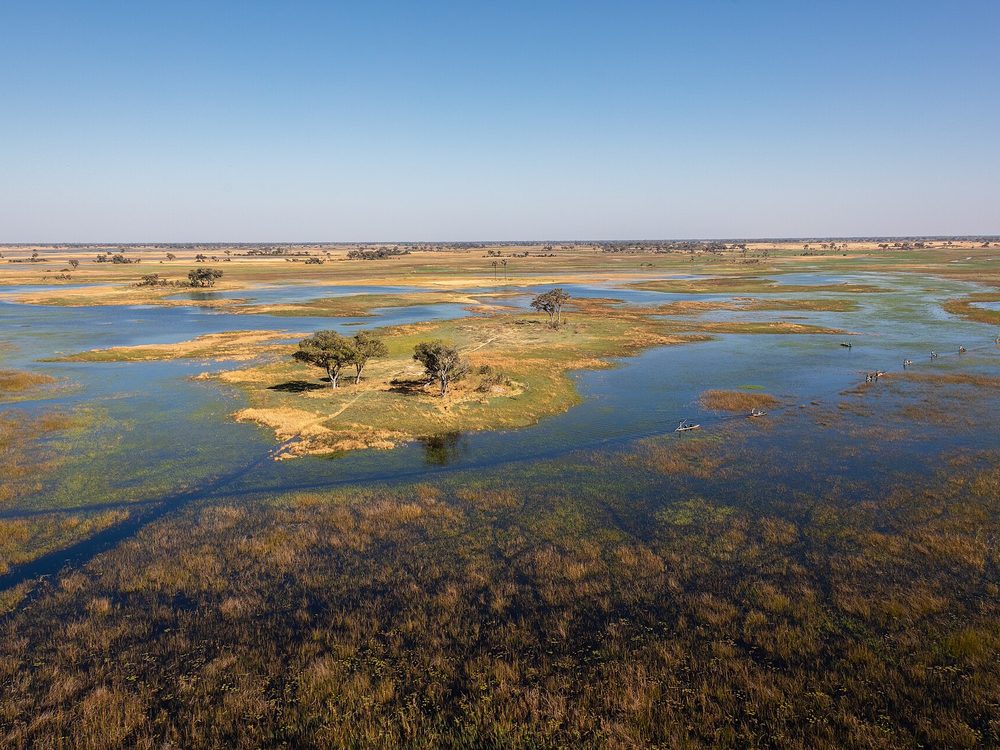 Aerial view of the Okavango Delta. Photo: Diego Delso, CC BY-SA 4.0.